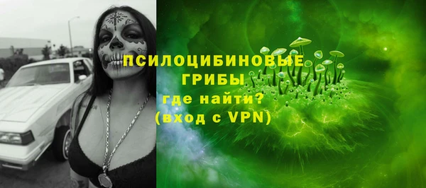 spice Абаза