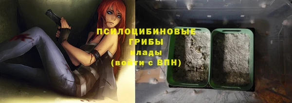 PSILOCYBIN Абдулино