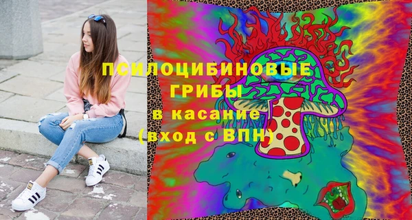 ПСИЛОЦИБИНОВЫЕ ГРИБЫ Алексин