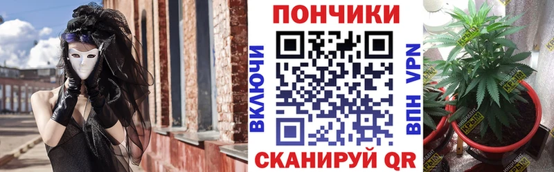 MEGA ONION  Губкин  МАРИХУАНА Bruce Banner 
